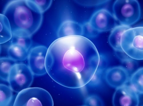 中國空間站航天員首次出艙 2100年海平面或?qū)⑸仙幻棕萍荚缧侣? />
</a>
<span><a href=