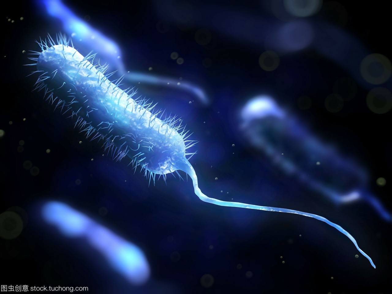 危險,粘貼,微生物,生物學,概念,細菌學,風險,棍,healthcare,artwork,手機,illustration,科技醫(yī)療,microbiology,棒,rod shape,infection,桿,細菌性的,植物學,病菌,rod shaped,活力,dangerous,活躍,細菌,mobile,木棒,醫(yī)療保健,疾病,rod,生長,conceptual,尾巴,bacilli,pathogen,藝術品,微生物學,bacillus,concept,bacteriology,microbe,active,