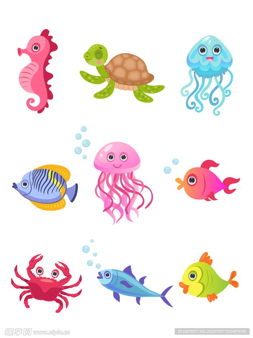 卡通海洋生物設(shè)計(jì)圖 海洋生物